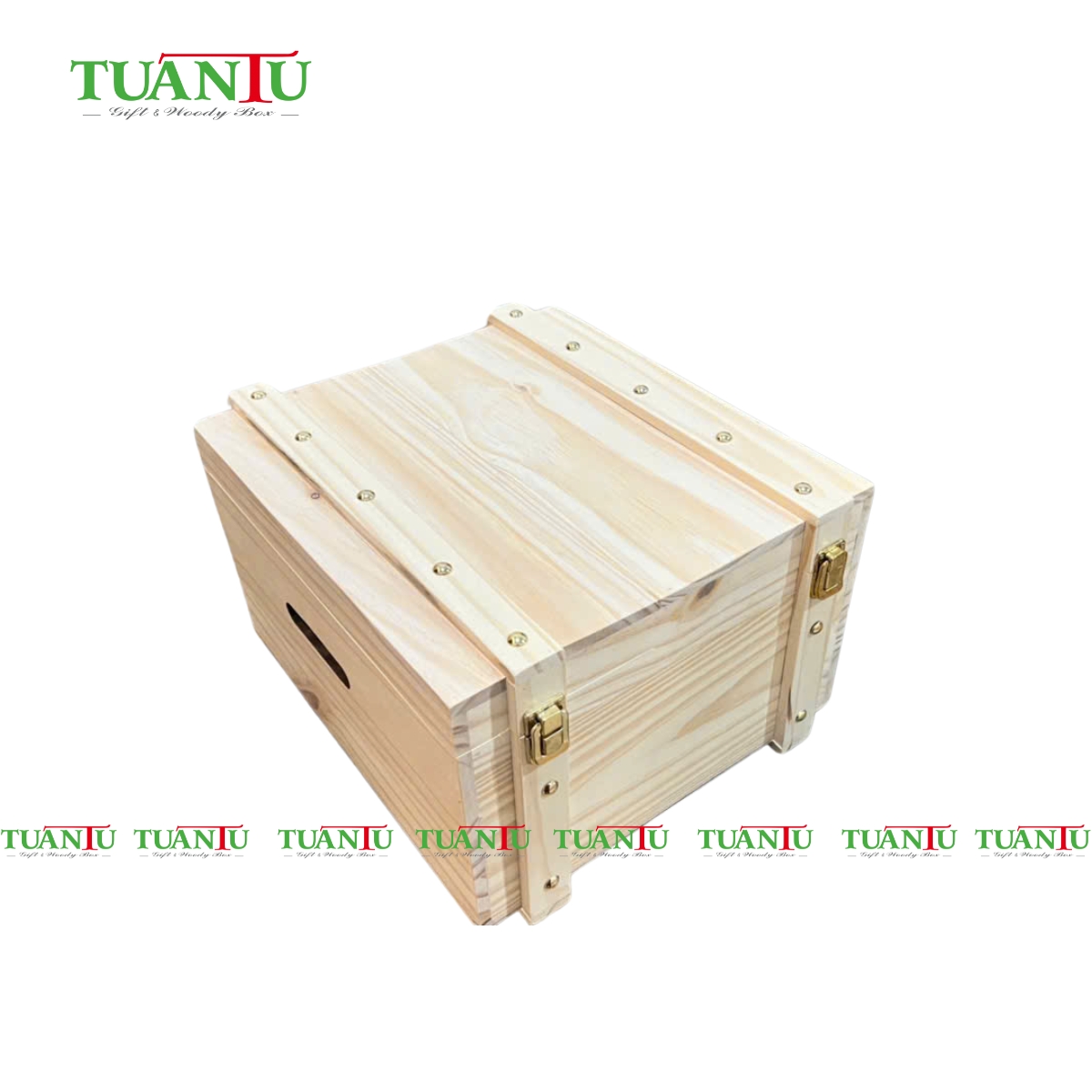 Hộp 6 chai vuông đinh vàng